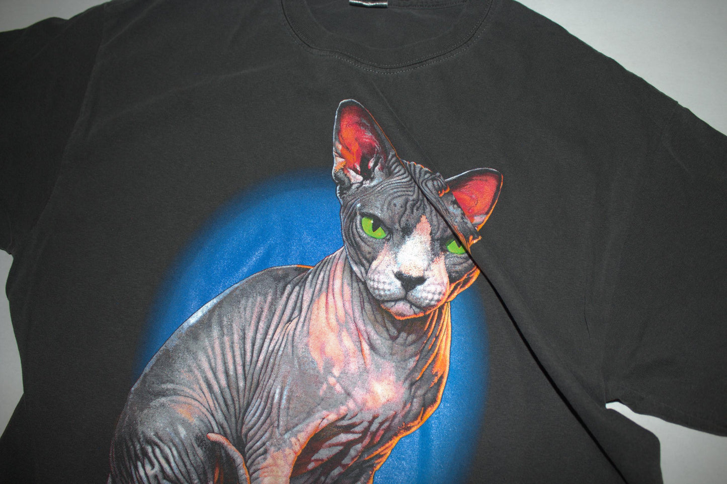 Sphynx Cat Tee on vintage y2k Gildan garment dyed shirt (L)