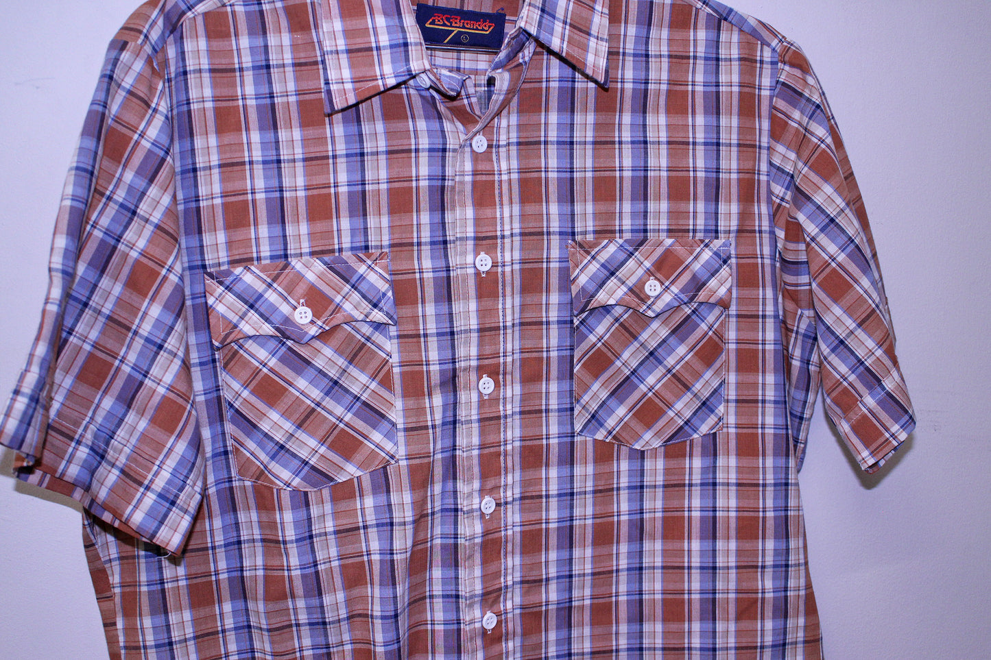 Willie on vintage BC Brandd pearl snap western short sleeve (L)