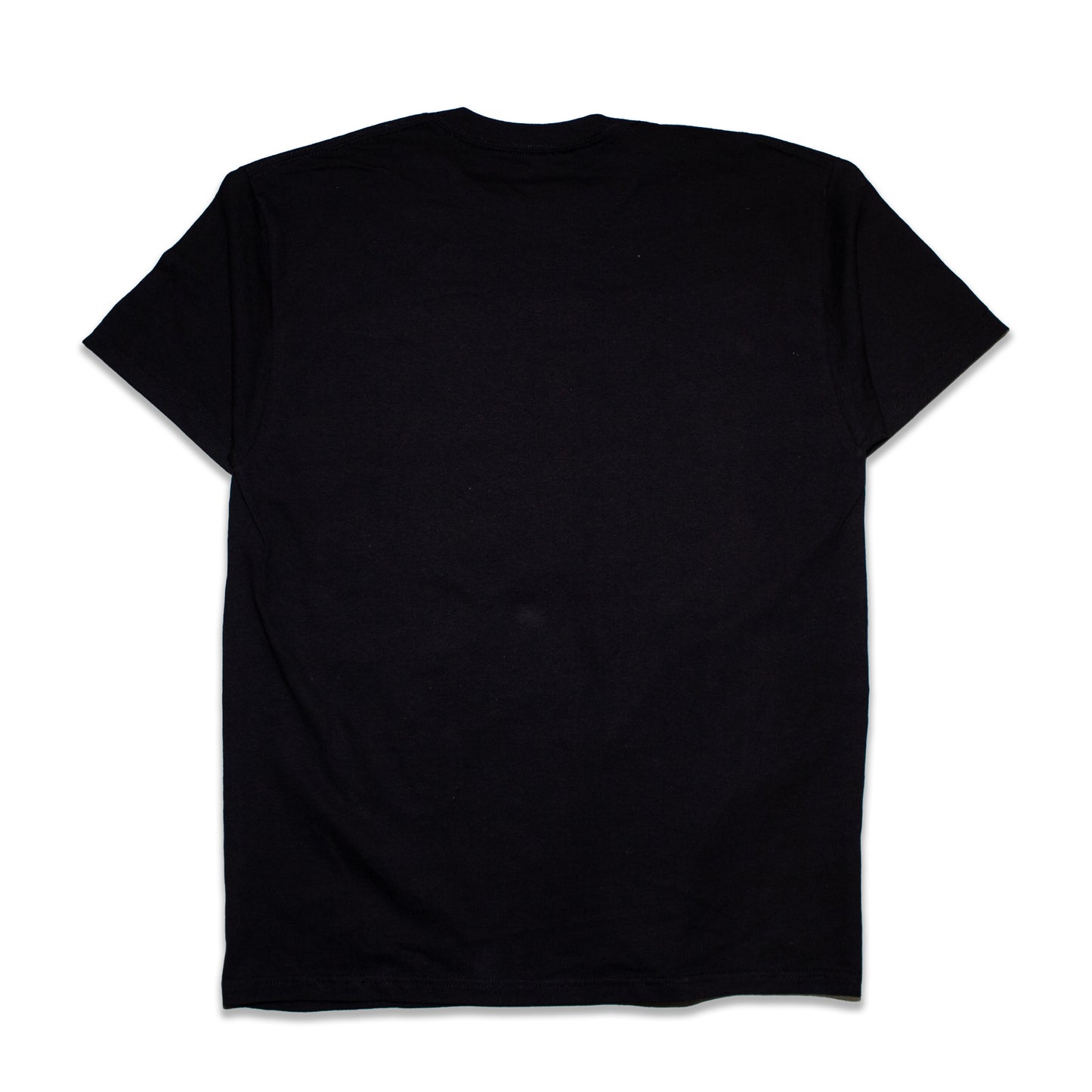 'E.V' Evolution Evolving Sky Orig Fan art shirt
