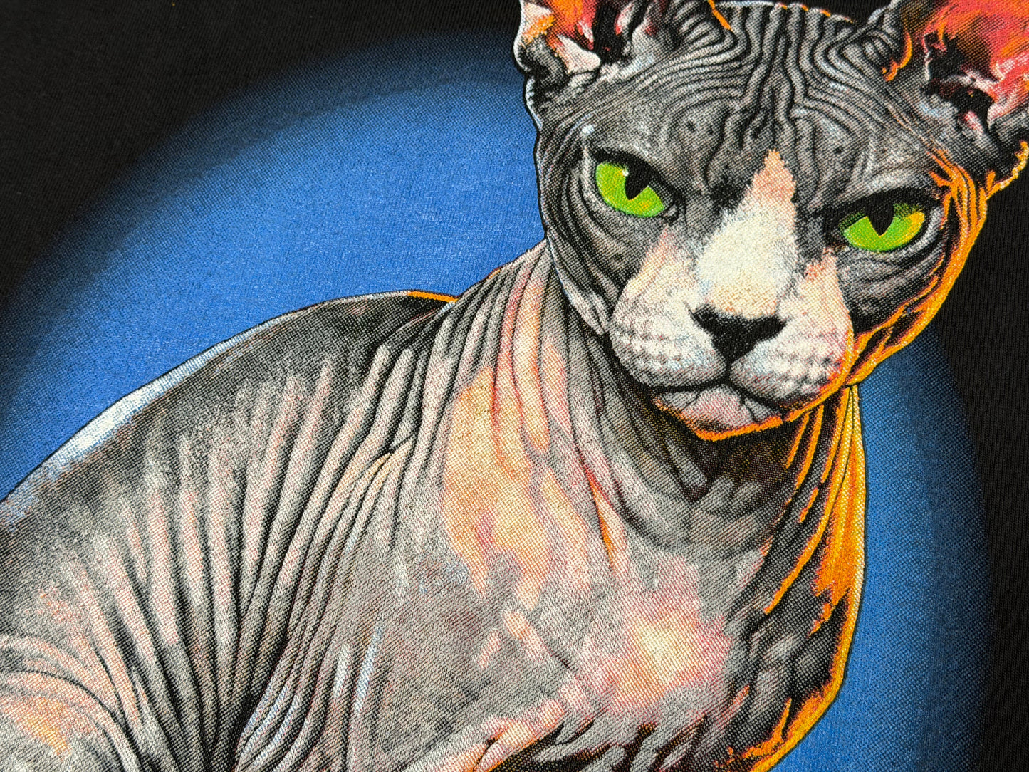 Sphynx Cat Tee
