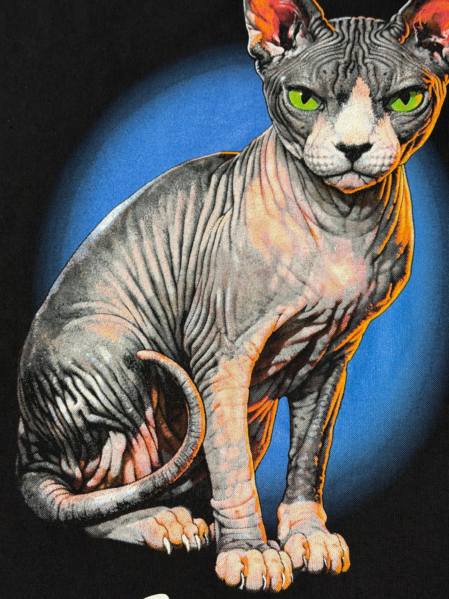 Sphynx Cat Tee