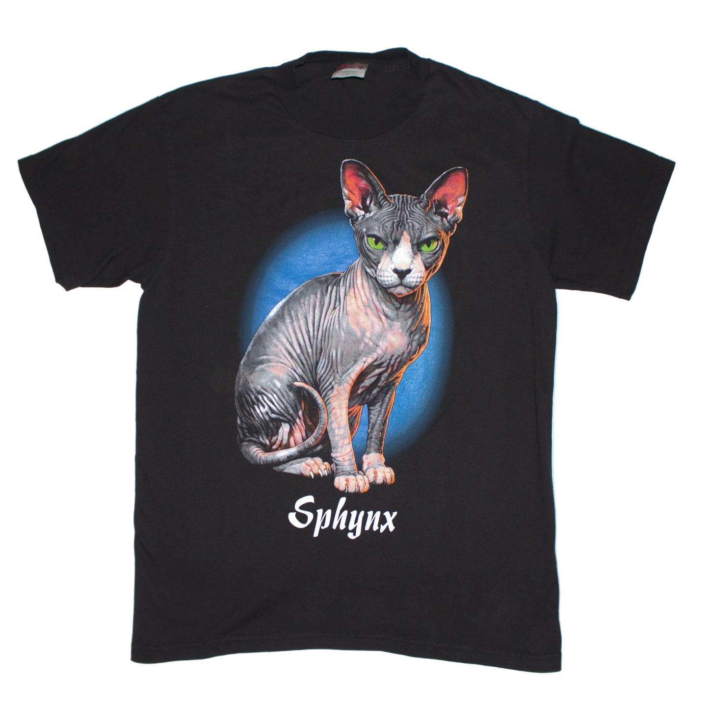 Sphynx Cat Tee on vintage HANES Comfort T (M)