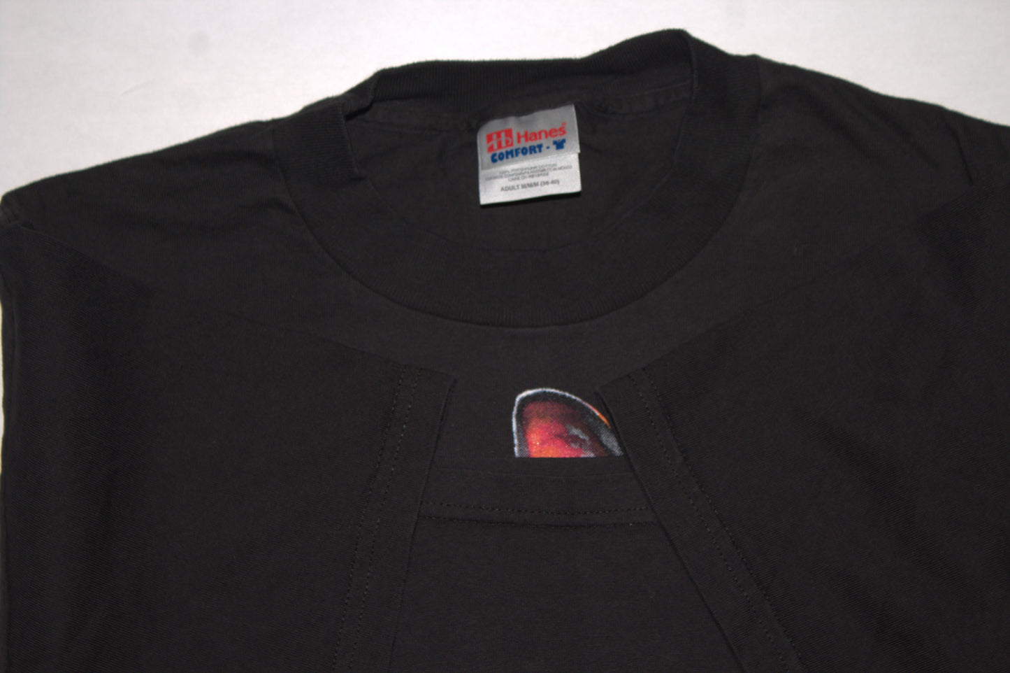 Sphynx Cat Tee on vintage HANES Comfort T (M)