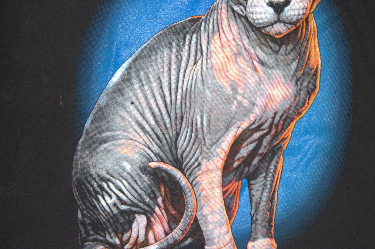 Sphynx Cat Tee on vintage Tee (M)