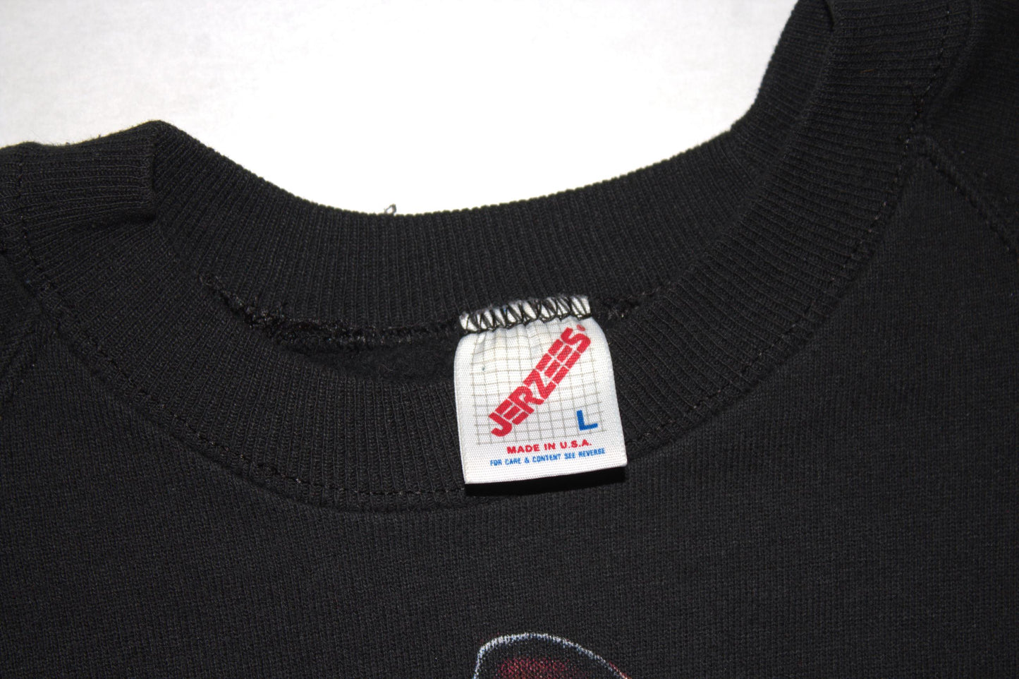 Sphynx Cat Tee on Jerzees vintage Crewneck sweatshirt (L)