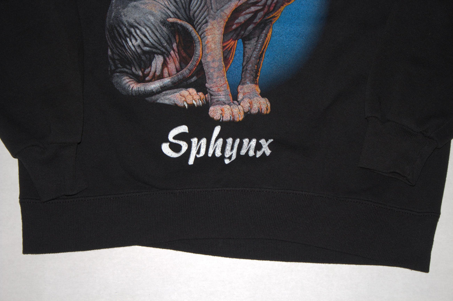 Sphynx Cat Tee on Jerzees vintage Crewneck sweatshirt (L)