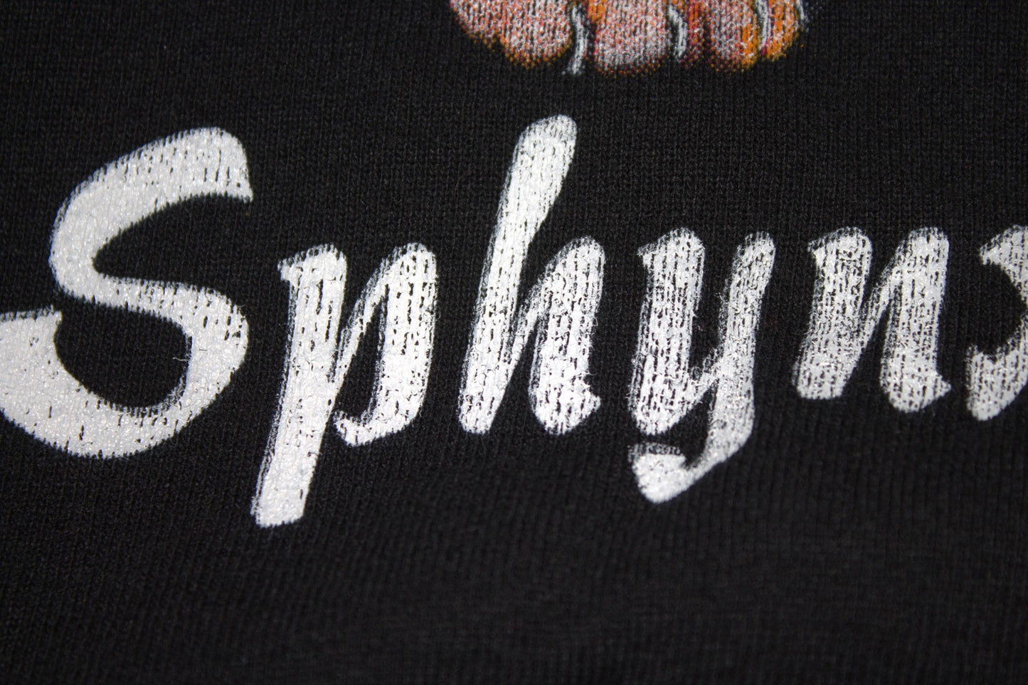 Sphynx Cat Tee on Jerzees vintage Crewneck sweatshirt (L)