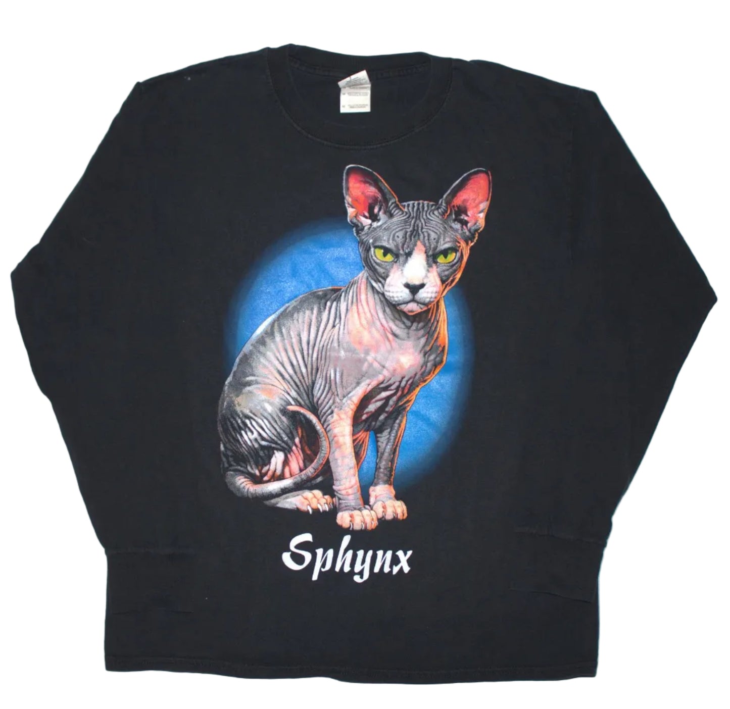 Sphynx Cat Tee on vintage y2k Gildan long sleeve shirt (M)