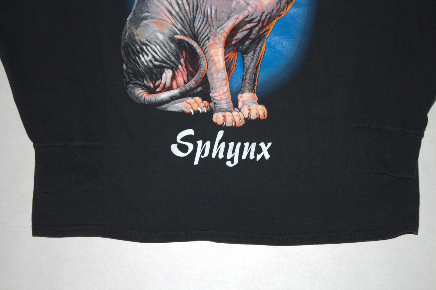 Sphynx Cat Tee on vintage y2k Gildan long sleeve shirt (M)
