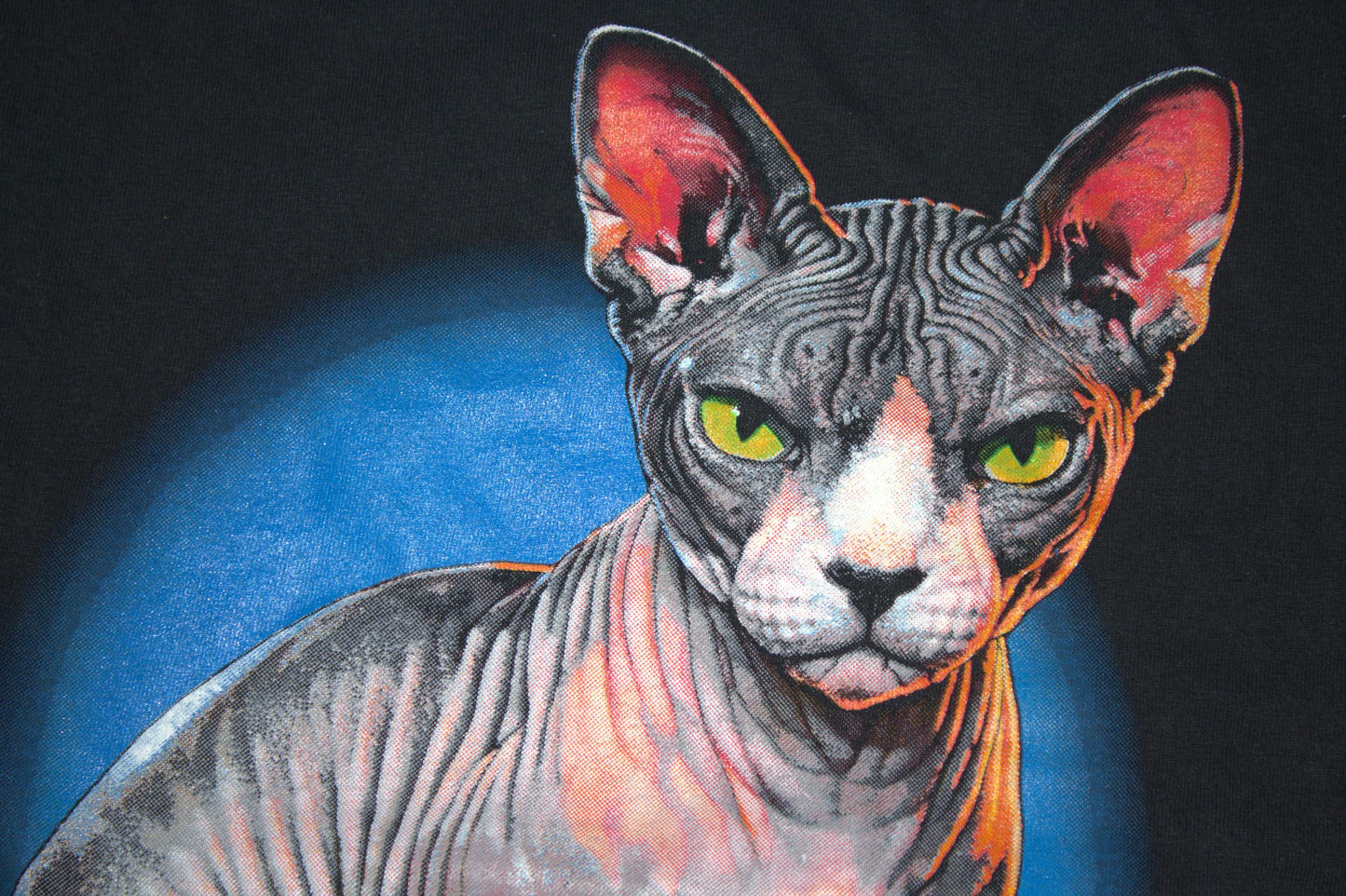 Sphynx Cat Tee on vintage y2k Gildan long sleeve shirt (M)