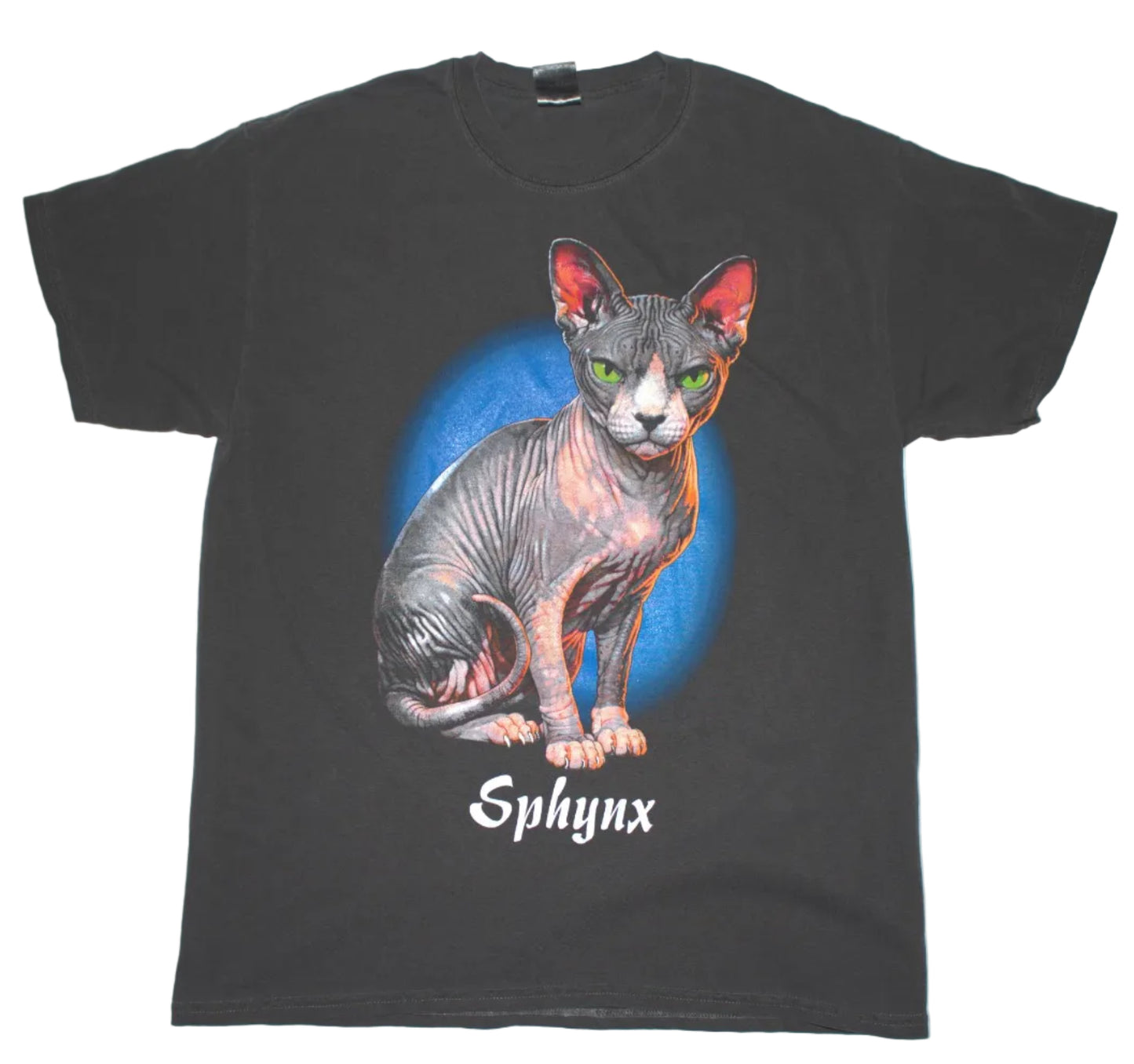 Sphynx Cat Tee on vintage y2k Gildan garment dyed shirt (L)