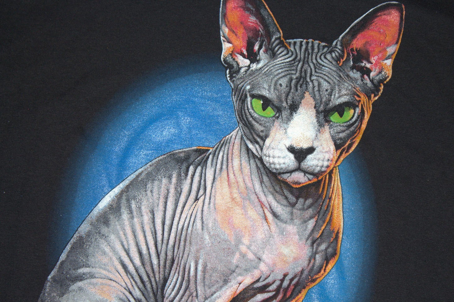 Sphynx Cat Tee on vintage Jerzees 50/50 shirt (L)