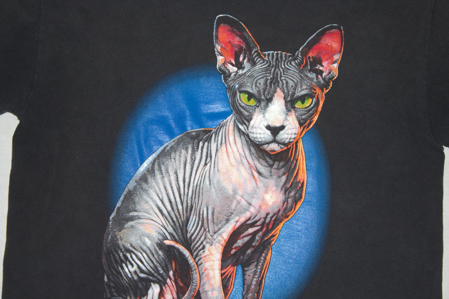 Sphynx Cat Tee on vintage Jerzees 50/50 shirt (L)
