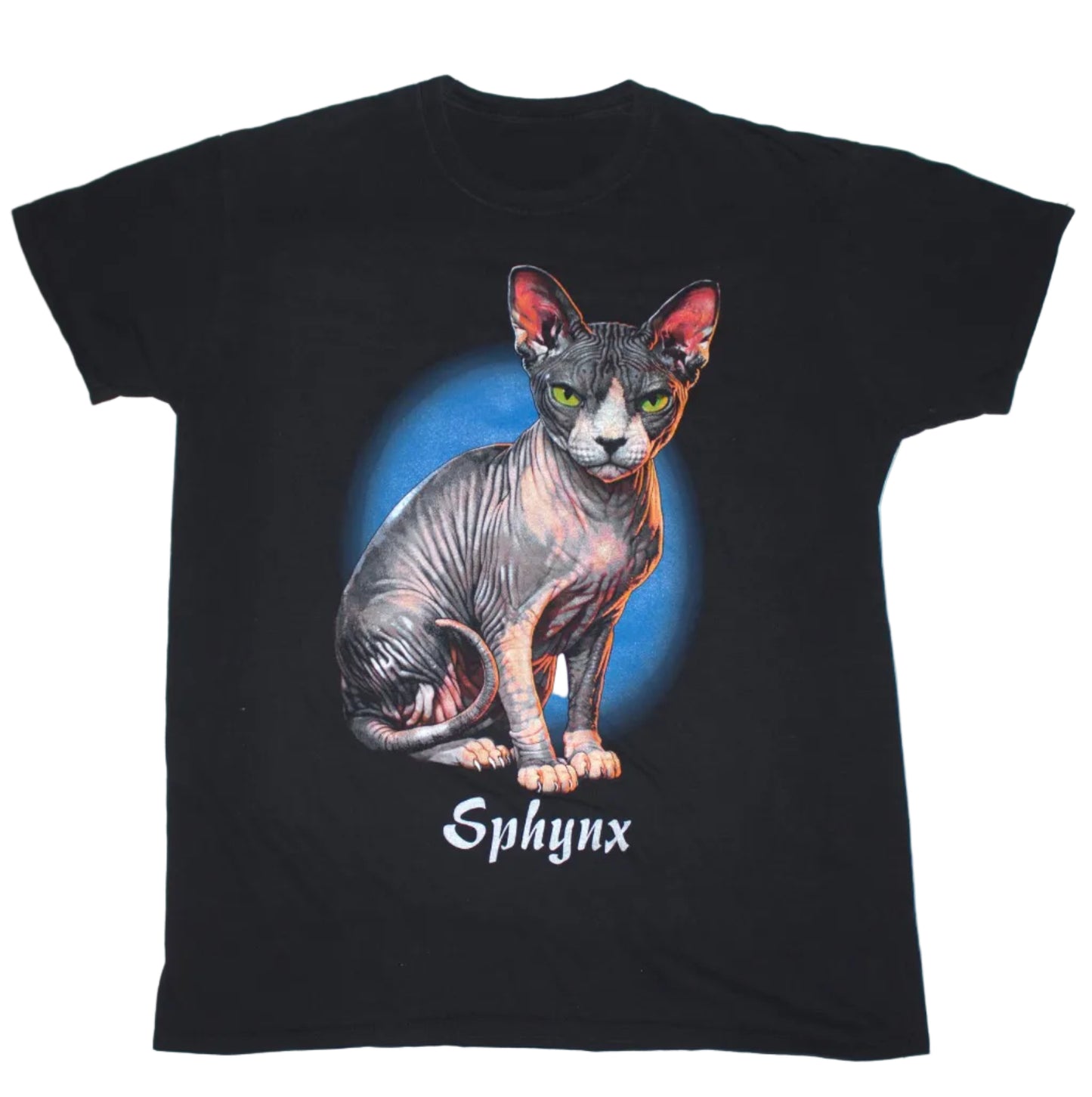 A black short-sleeve t-shirt featuring a graphic of a hairless cat (Sphynx) sitting in front of a blue circular background, with the word 'Sphynx' printed below in white gothic-style lettering.