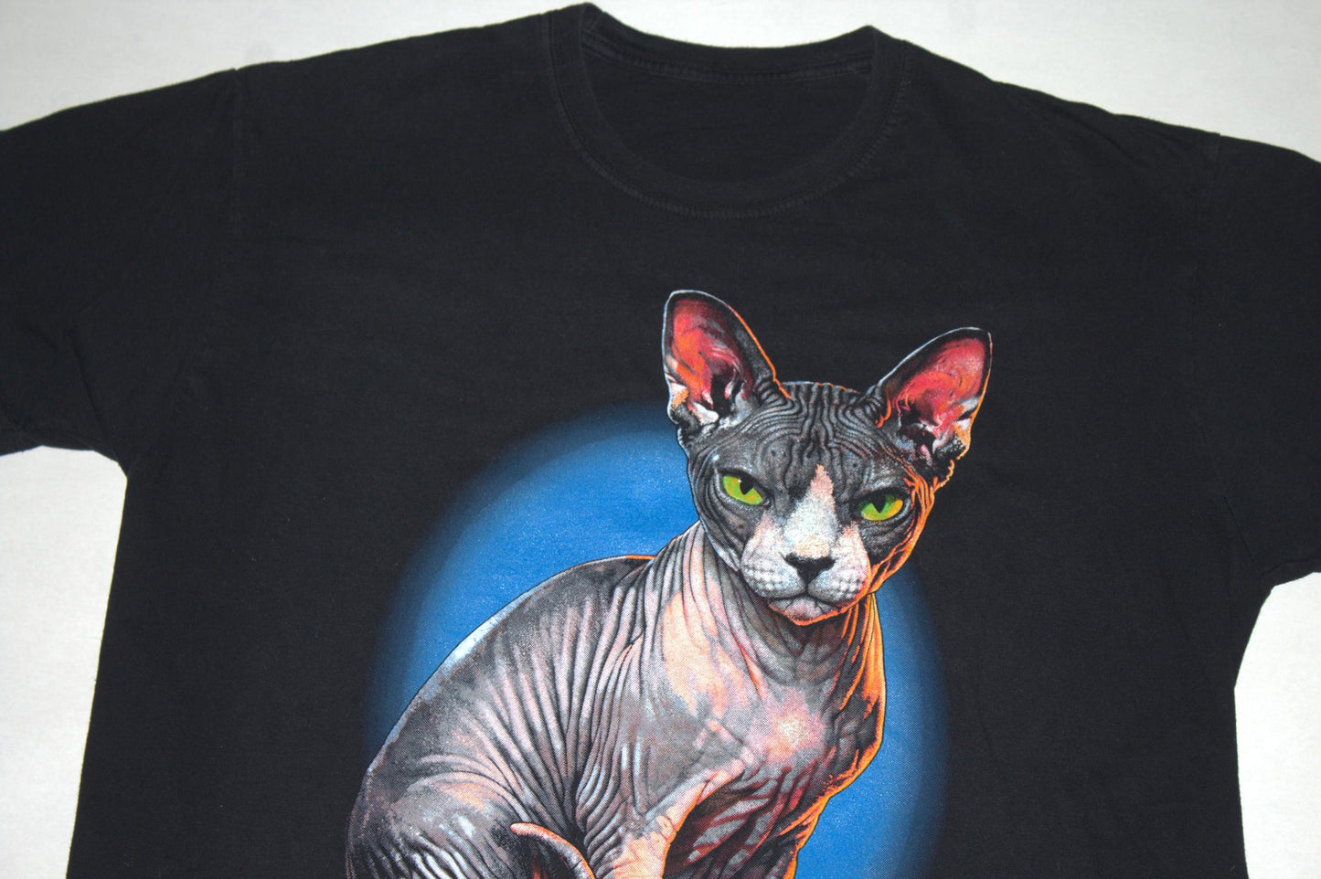 Sphynx Cat Tee on 2nd hand worn in short sleeve tee (L)