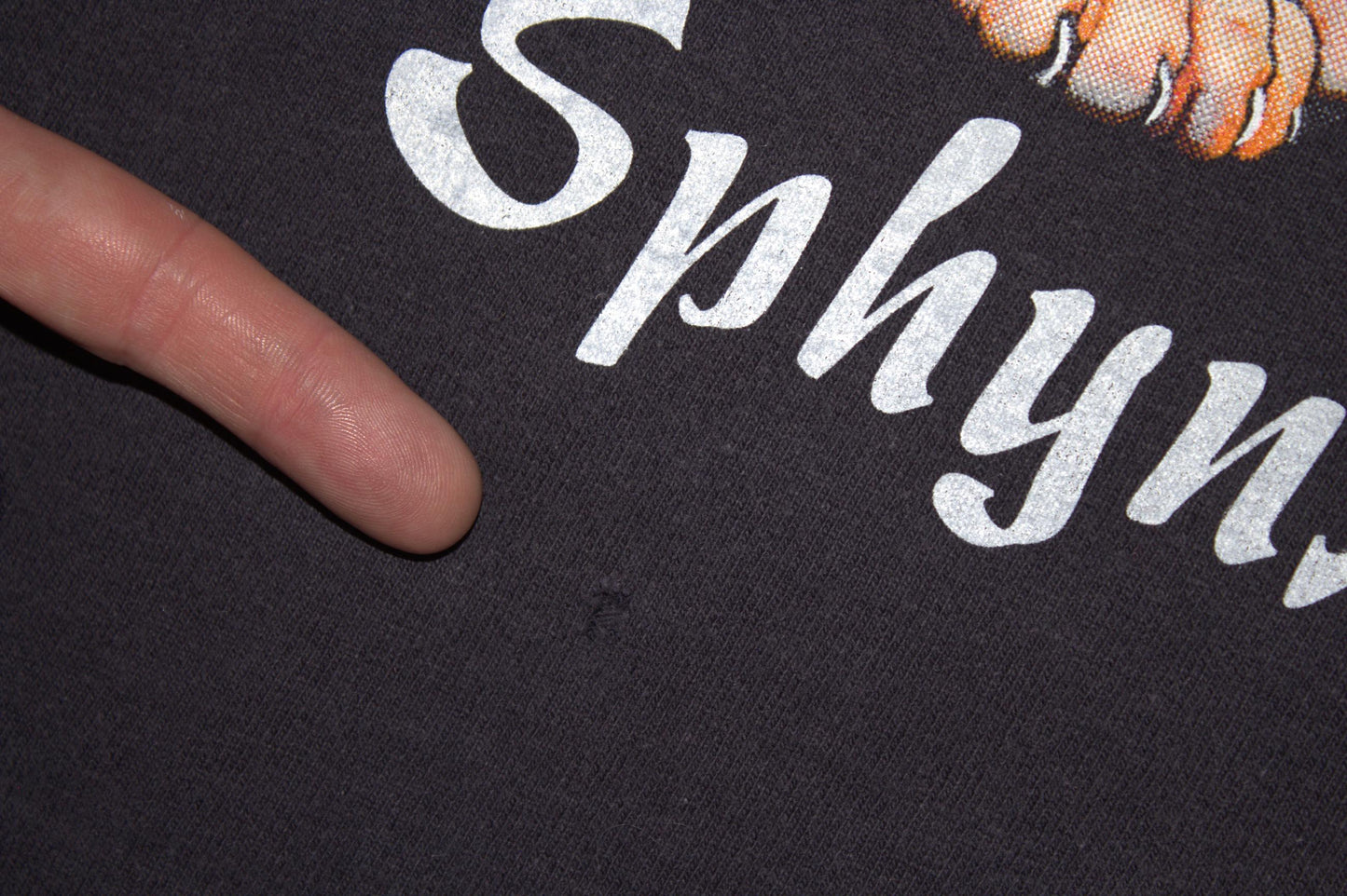 Sphynx Cat Tee on vintage Champion single stitch shirt (M)