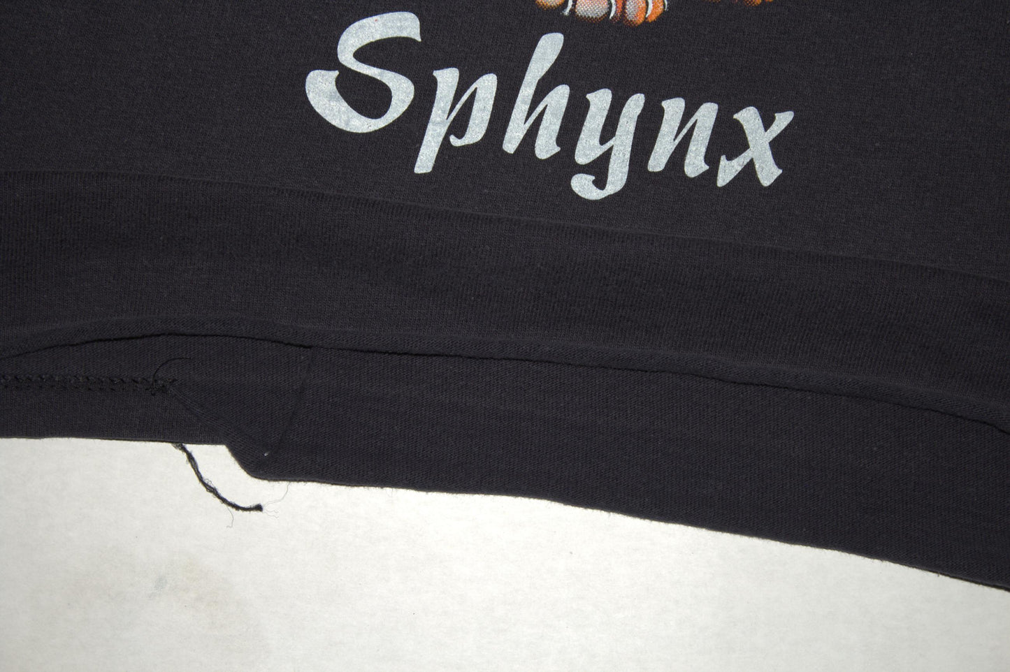 Sphynx Cat Tee on vintage Champion single stitch shirt (M)
