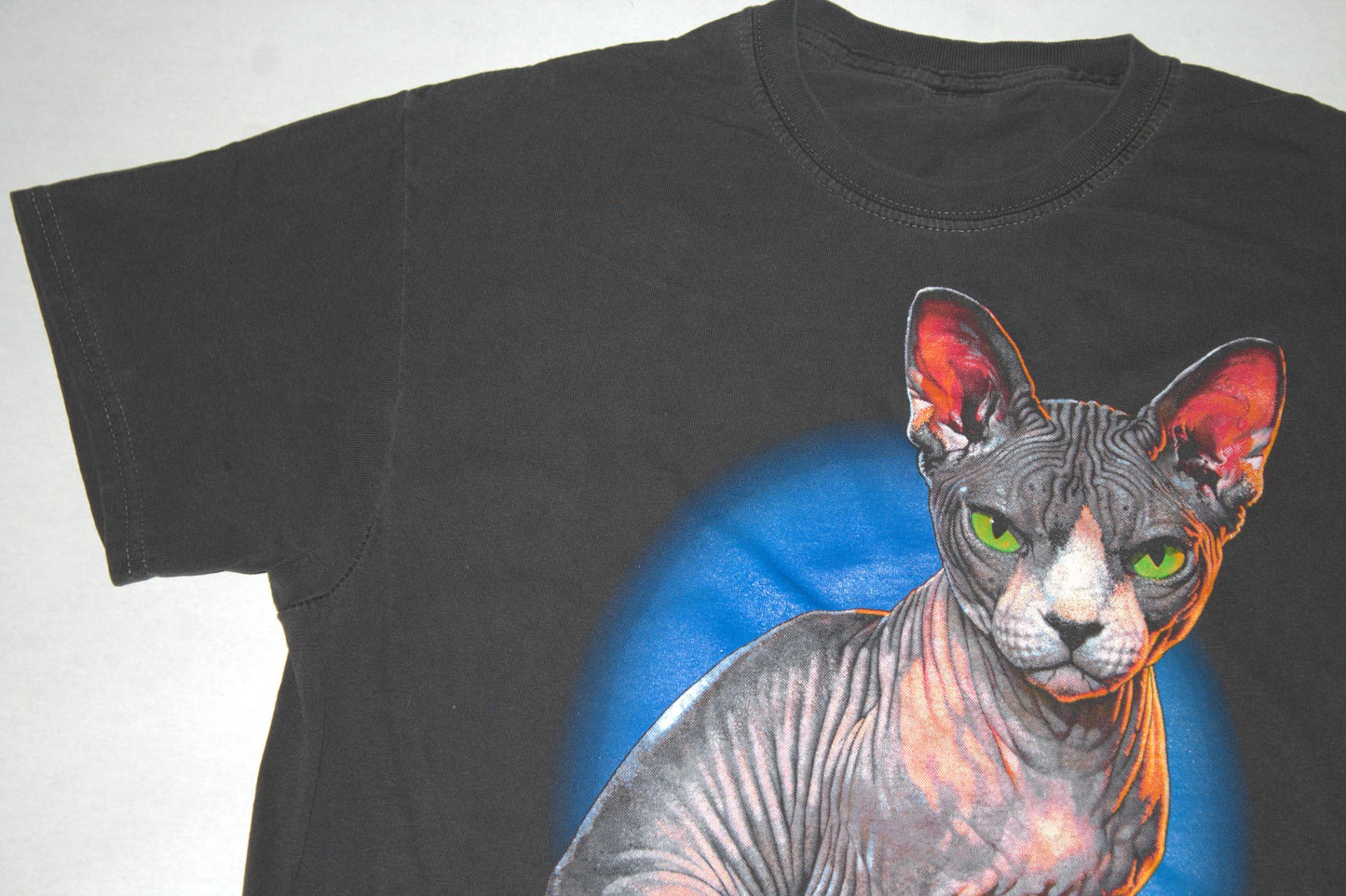 Sphynx Cat Tee on garment dyed shirt (L)