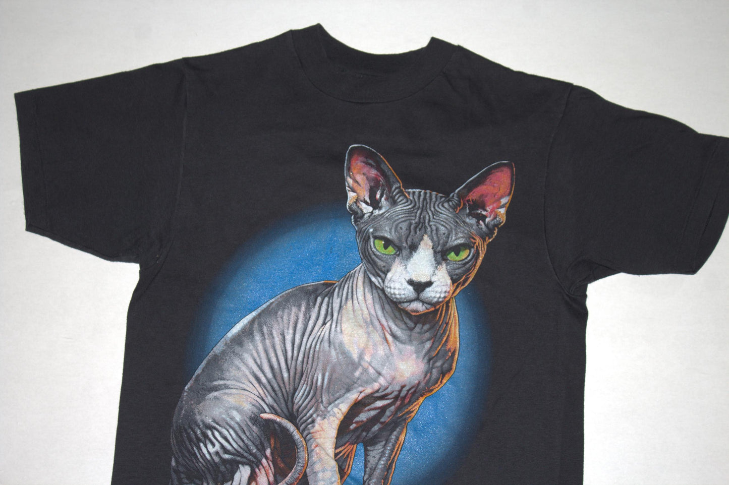 Sphynx Cat Tee on Hanes 50/50 single stitch vintage shirt (M)