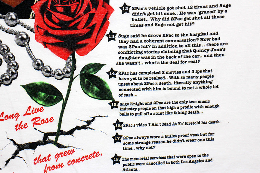 Pac LIVES! 18 Reasons by Chuck D Conspiracies #2 Orig. fan art tee
