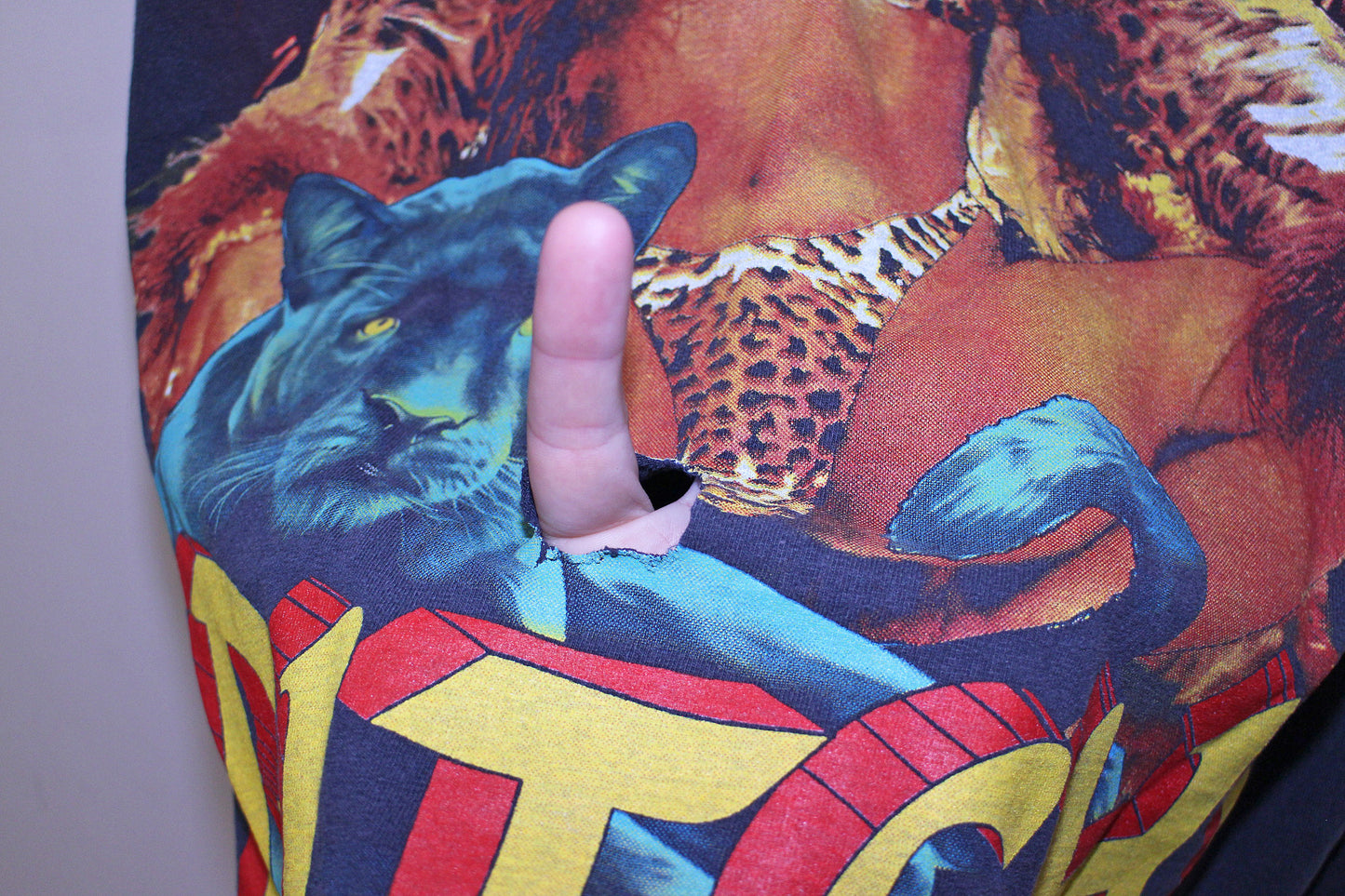 Lil Kim on perfect faded y2k Alstyle Tee (XXL)