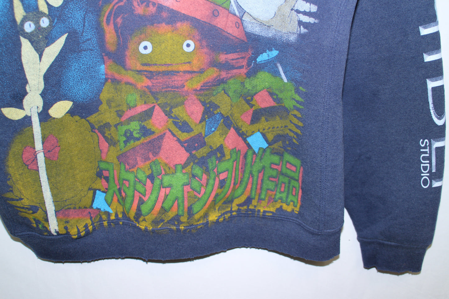 Studio Ghibli Russel Faded/Distressed Hoodie (XL)