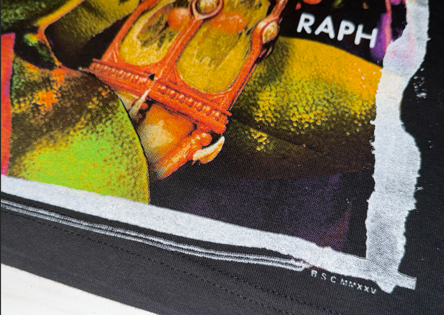 Turtles 3 Orig. fan art tee